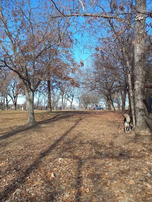 Dog Park 1