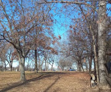 Dog Park