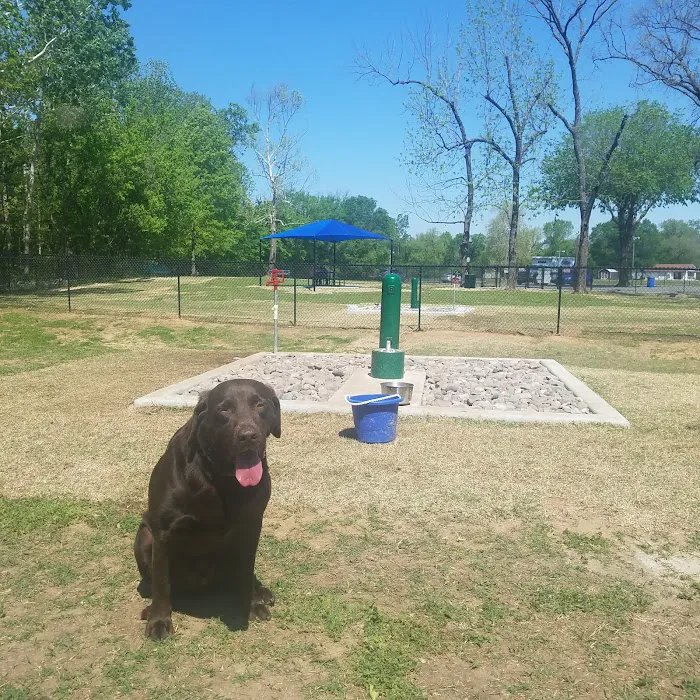 Dog Park 9