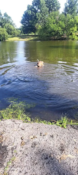 Biscuit Acres Dog Park 1