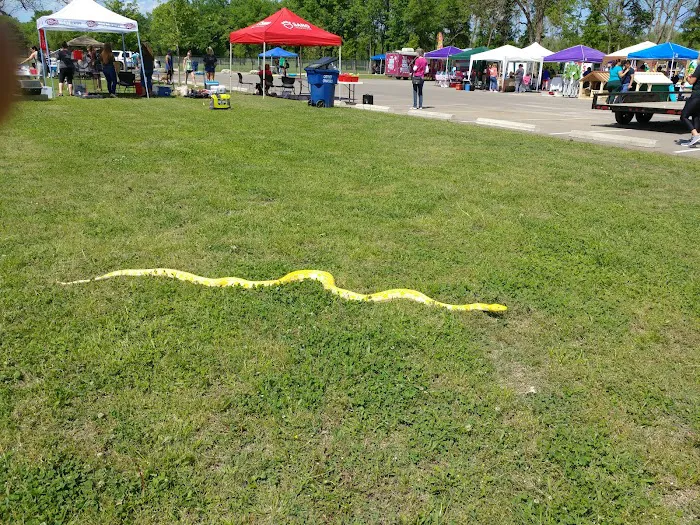 Waggin Trail Dog Park 10