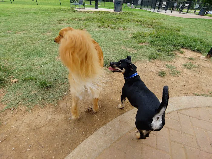 Waggin Trail Dog Park 5