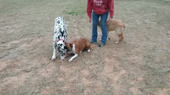 Waggin Trail Dog Park 7