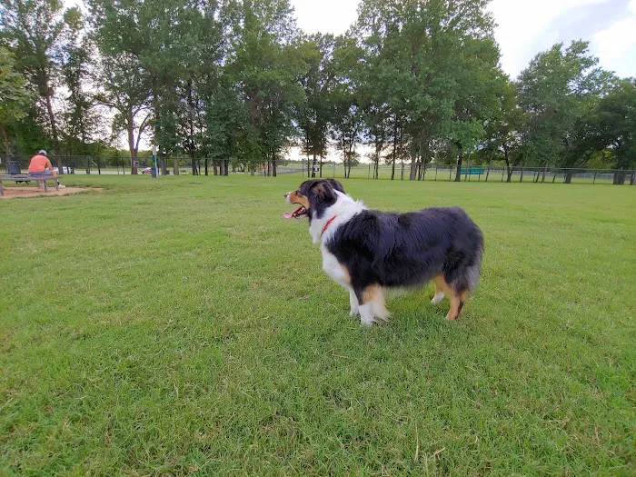 Waggin Trail Dog Park 2