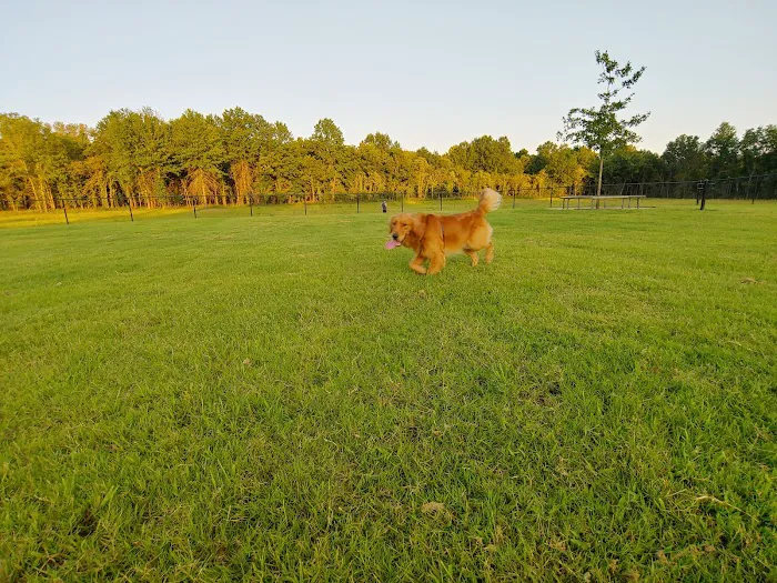 Waggin Trail Dog Park 6