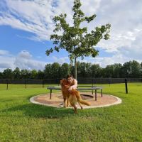 Waggin Trail Dog Park ico