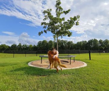 Waggin Trail Dog Park