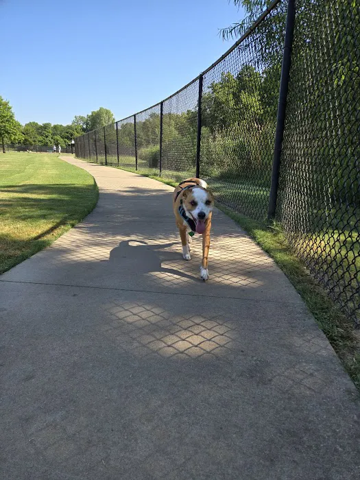 Rose West Dog Park 10