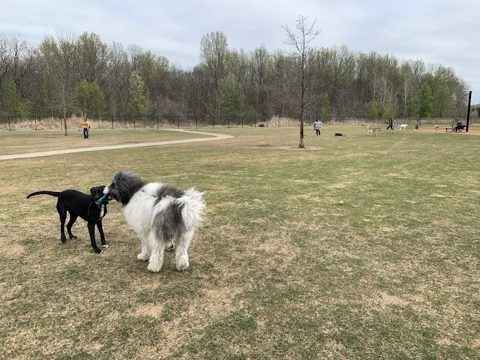 Rose West Dog Park 3