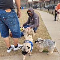Rose West Dog Park ico