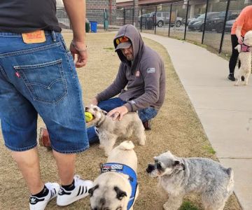 Rose West Dog Park