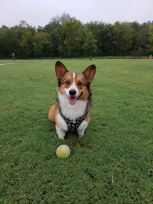 Rose West Dog Park 9
