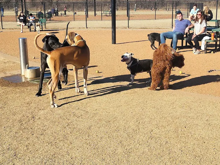 Rose West Dog Park 2