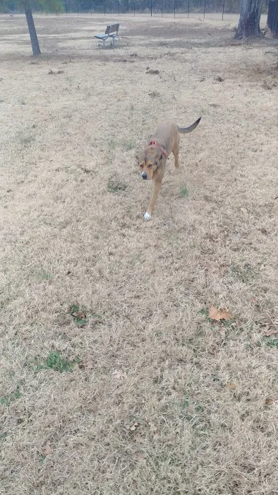 Dog Park Wiggly Field Sapulpa 4