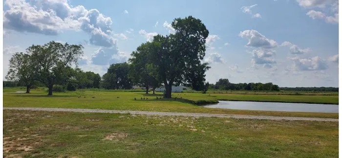 Amanda's Private Dog Park 2