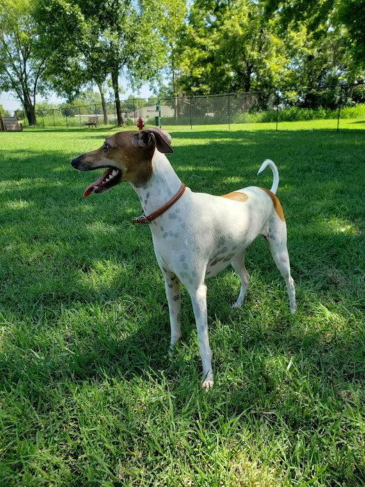 Cat Creek Dog Park 9
