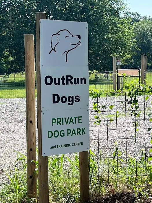 OutRun Dogs 7