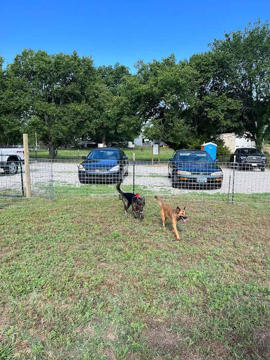 OutRun Dogs 10