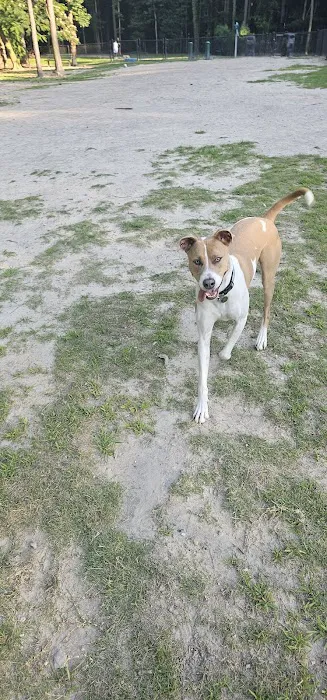 Marshview Dog Park 1