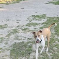 Marshview Dog Park ico