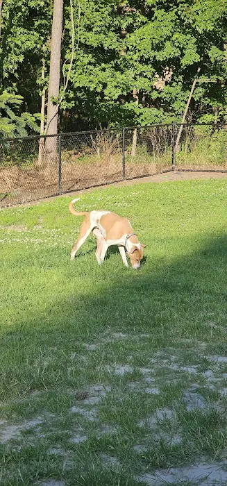 Marshview Dog Park 5
