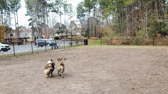 Marshview Dog Park 6