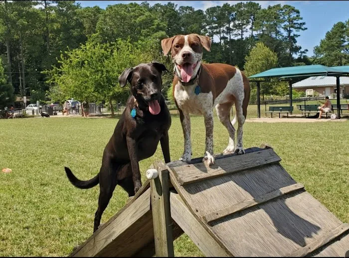 Red Wing Dog Park 3
