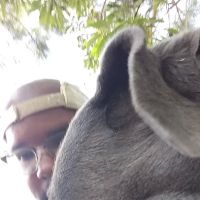 City Park Dog Park ico