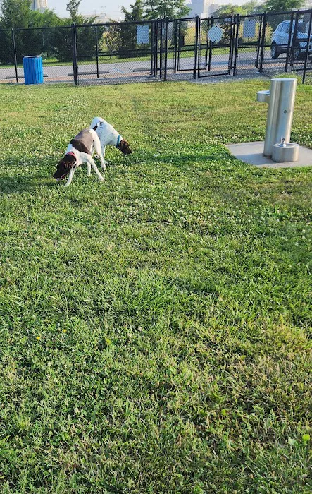 City Park Dog Park 5