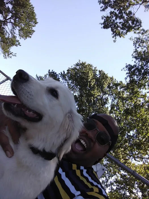 City Park Dog Park 4