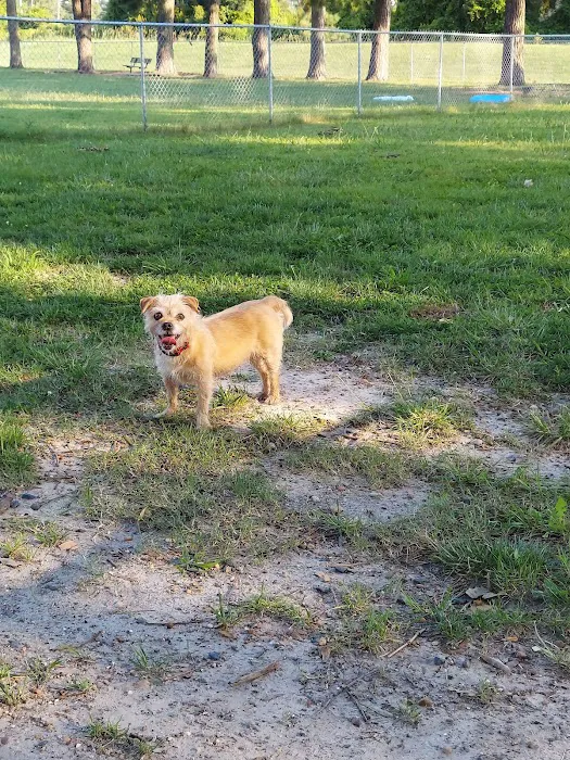 City Park Dog Park 10