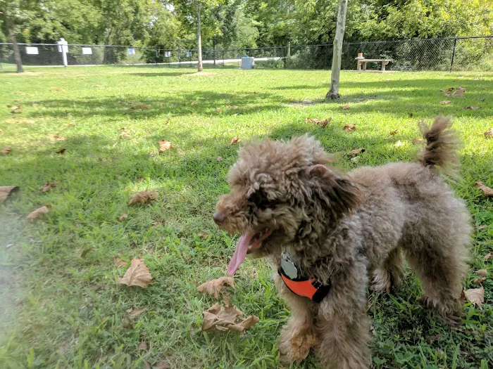 Tait Terrace Dog Park 8