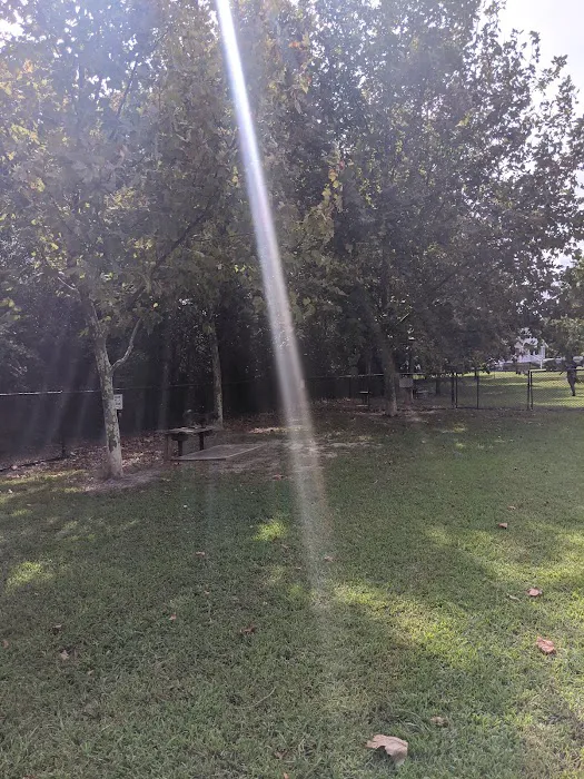 Tait Terrace Dog Park 7