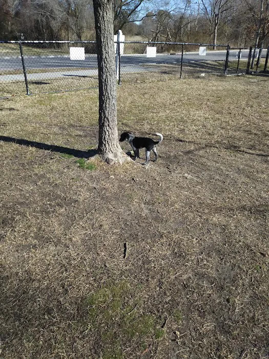 Tait Terrace Dog Park 5