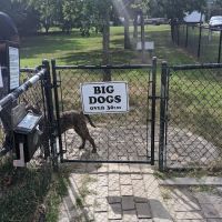 Tait Terrace Dog Park ico