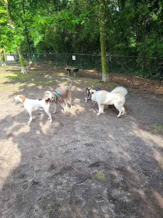 Tait Terrace Dog Park 3