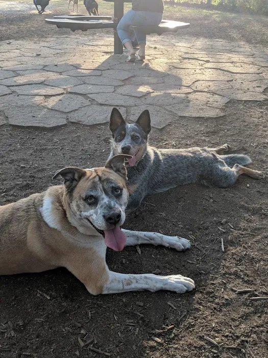 Lafayette Dog Park 6