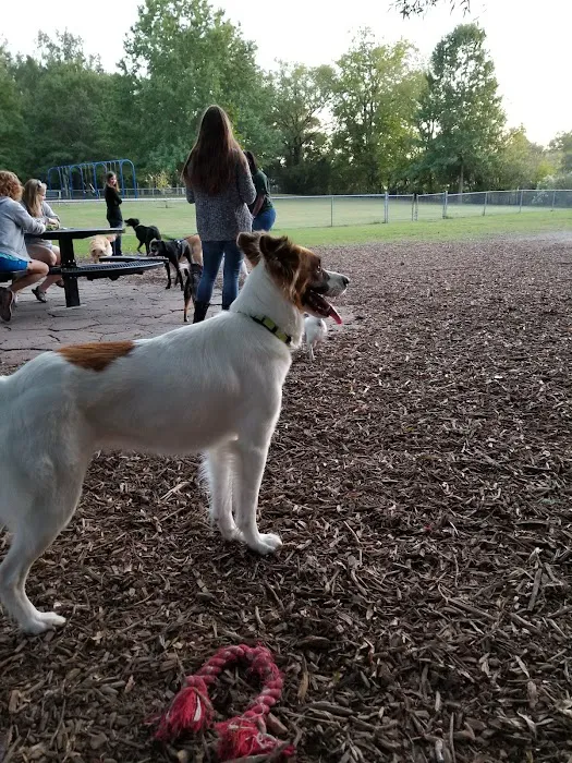 Lafayette Dog Park 2