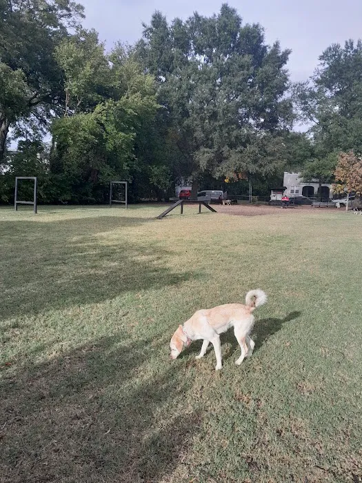 Lafayette Dog Park 4