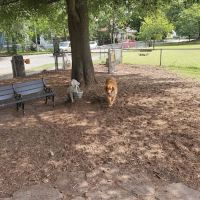 Lafayette Dog Park ico