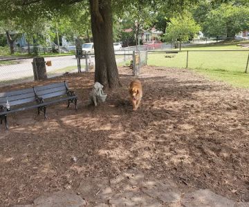 Lafayette Dog Park