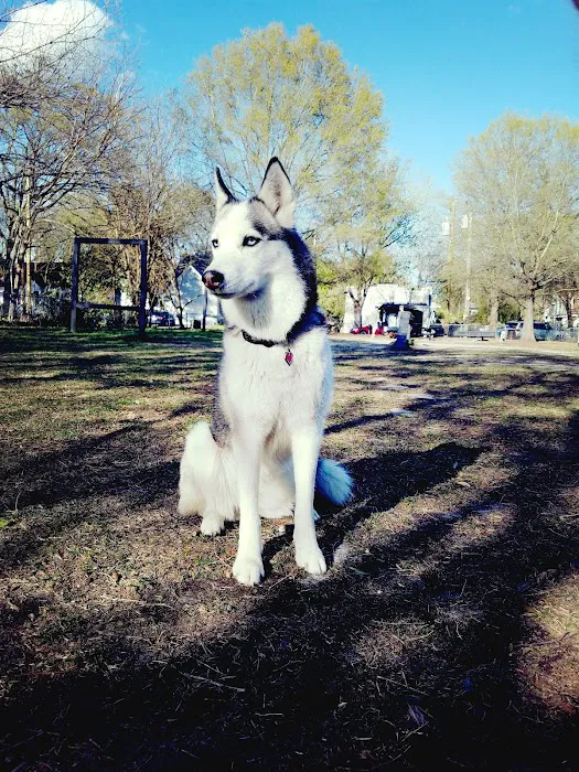 Lafayette Dog Park 7