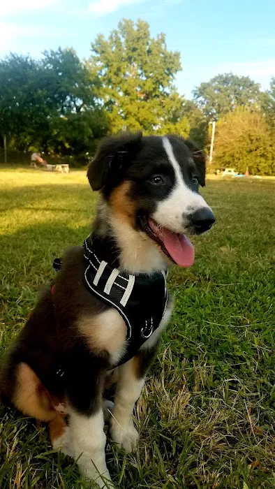 Ocean View Dog Park 8