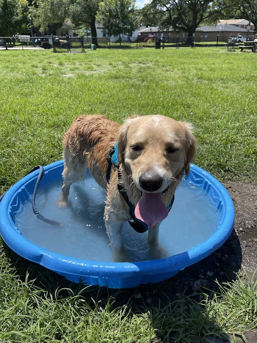 Ocean View Dog Park 3
