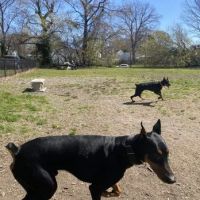 Ocean View Dog Park ico