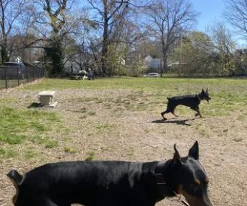 Ocean View Dog Park