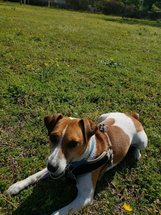 Ocean View Dog Park 4