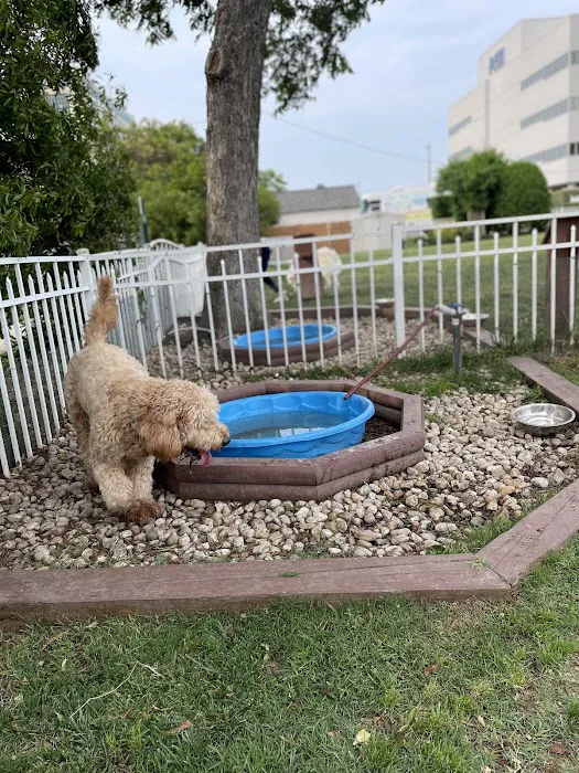 Bea Arthur Dog Park 3