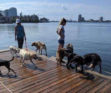 Bea Arthur Dog Park