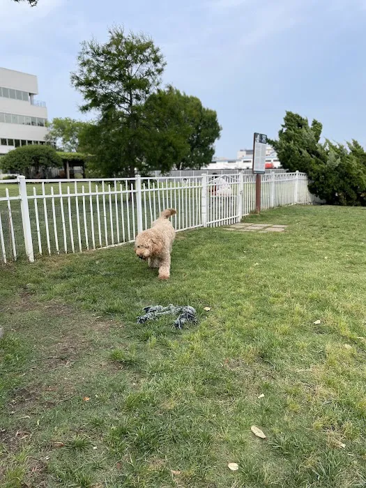Bea Arthur Dog Park 2